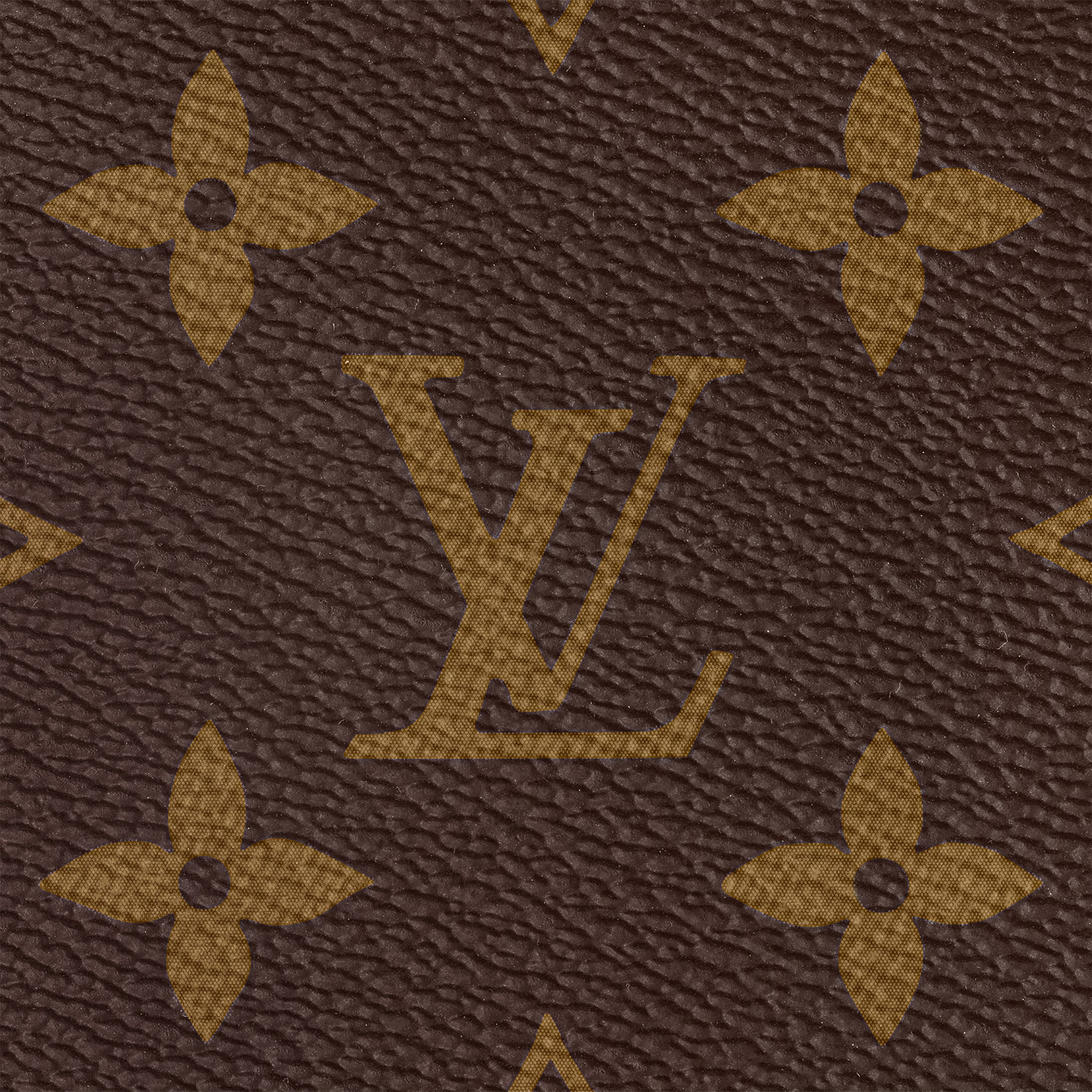 CarryAll MM M46197 - 图片 10